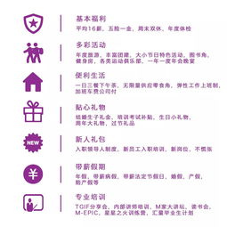 生肖适配性的深度剖析与逻辑