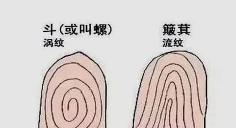 面部圆润度与福相关联性分析