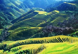 2. 龙脊梯田：累死人的风水宝地
