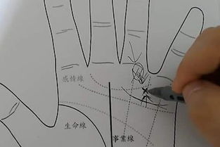 手相真的能决定未来吗？它真的那么重要吗？