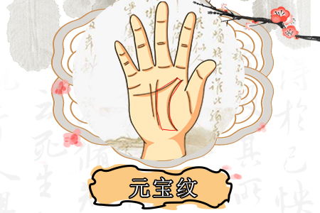 二、 财富运势之细致分析