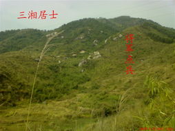 将军点兵风水是什么意思？能否解释一下这个成语的含义？