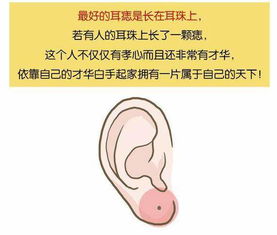 没有耳垂的人的性格特点与命运关联