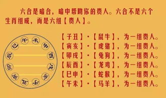 风水布局与属猴者运势的调适