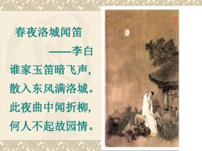 诗歌的深层隐喻：从植物到孤独之鸟