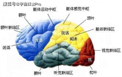 重复出现的视觉与听觉异常