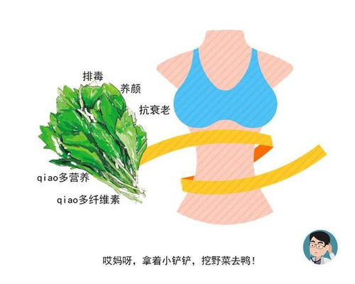 莼字的自然意象