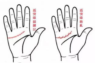 情绪、 生理因素对掌相解读的影响机制