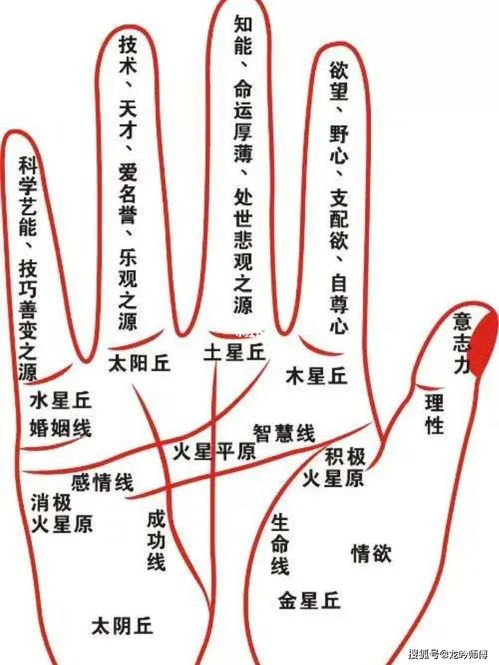 2．起点位置