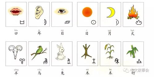 涂涂这个名字的寓意是什么有没有什么忒别的含义或故事？