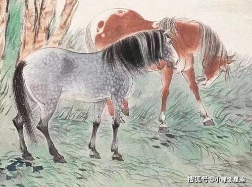 属马女性群体：福气盈门且助夫有方