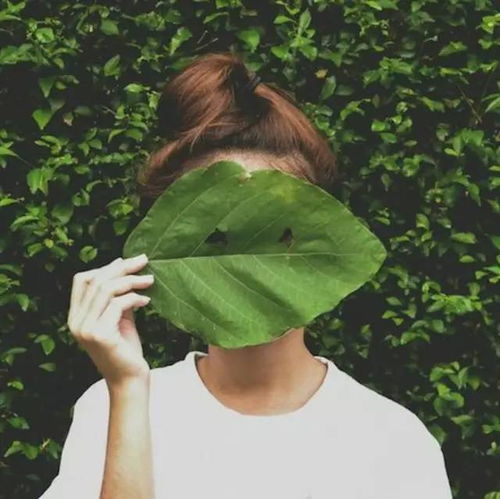 二、 绿色植物——活力之源及招财进宝之象征