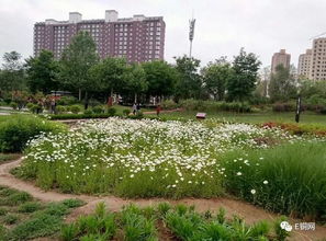 铜川植物园门票优惠游：一场说走就走的“绿色灾难”