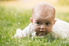 四、 实用技巧（混杂噪声）