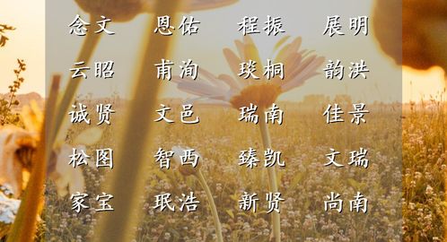 名下之妙：组合与寓意的考量