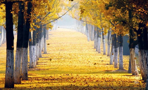 5. 周边黑店指南