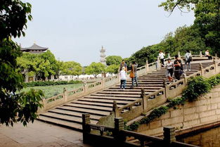 吃饭的艺术：演技大考验