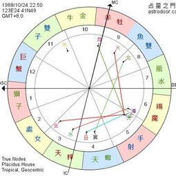 武曲破军组合：大器晚成的潜力股