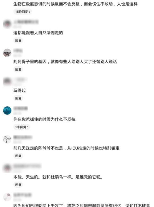 ：时间节点与人生仪式的深度耦合