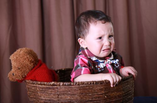 二、 “智力担当”的名字