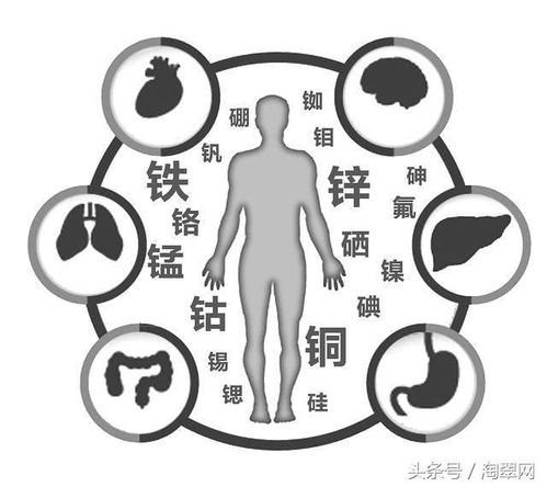 负面效应警示型命名实例：鑫焱磊、 宇宙、秦始皇