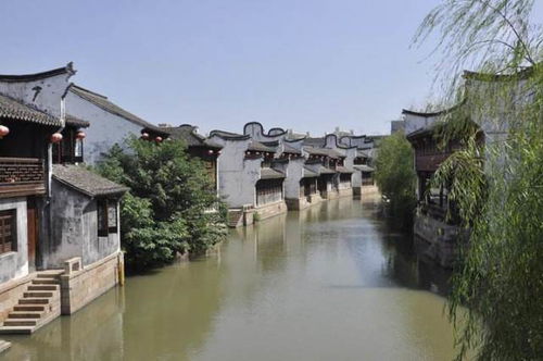 深度分析：为什么浙江人这么信这个？