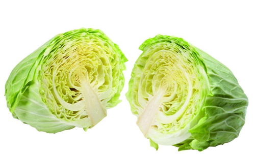 等等！有人说梦见大白菜能长寿？