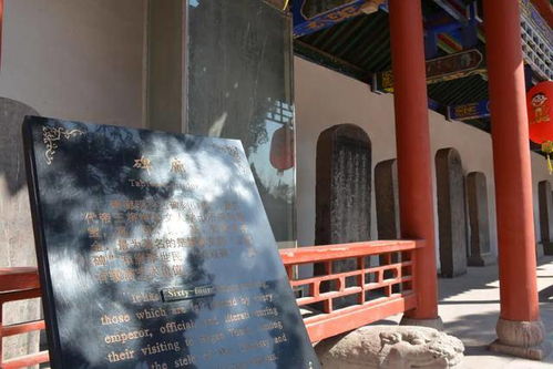 村口荒废教堂与狼影：一论风水与生肖的国学较深度解析