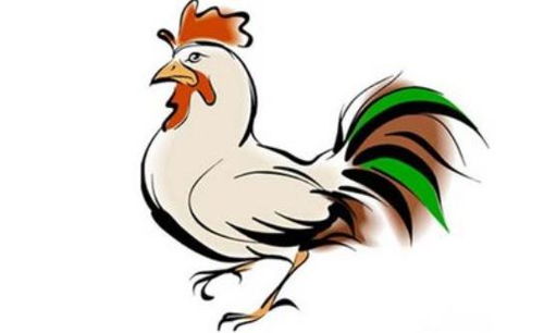 2026年属鸡人的运势详解，2026年生肖鸡的运势如何？