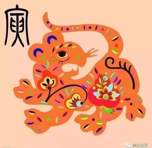 第一章：卯兔第四位置的确立及其数理基础