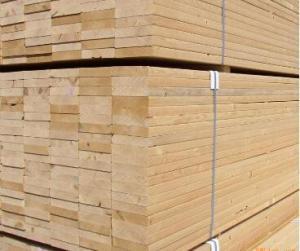 1. 松树的象征意义：长寿、坚韧与生机