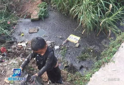 梦见掉进粪坑全身沾满大粪是什么征兆？