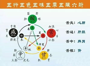 姓名中的五行：藏龙卧虎