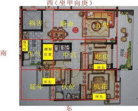 2.3 建筑布局与内部环境设计