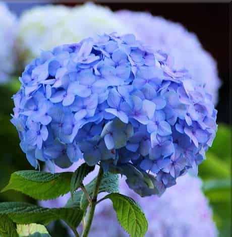 墓地风水教程视频图解，如何正确选择风水墓地？