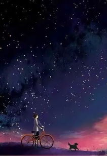 夜半星空下的情绪流转：从星座、 生肖与风水视角的系统性探讨