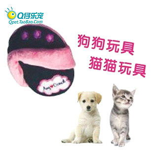 一、 宠物店命名的文化内涵与传统意义