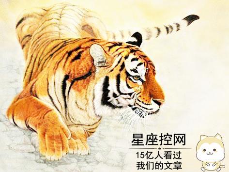 3. 生肖虎：冒险精神与未知世界的探索