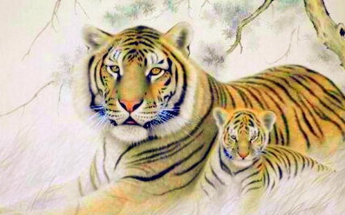 属虎男孩名字有哪些，有没有大气又适合属虎的男孩名字大全推荐？