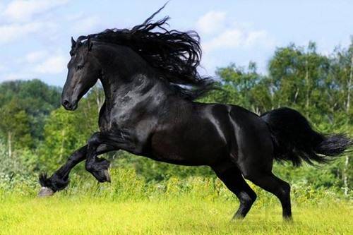 2026年属马财运如何，78年属马适合佩戴什么物件来提升运势？