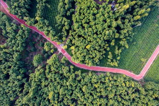 中途的各种幺蛾子