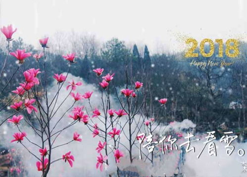 天啊！这个字也太神奇了吧！雪字读音居然是xuě！