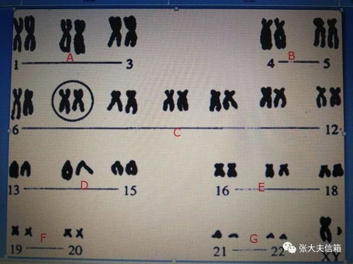 家族传承：别忘了祖宗规矩