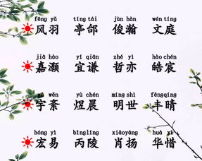 三、怎样搭配其他字以提升名字的寓意