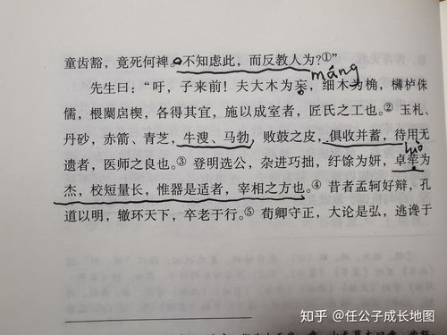 四、有缘人：命运的捉弄与无奈