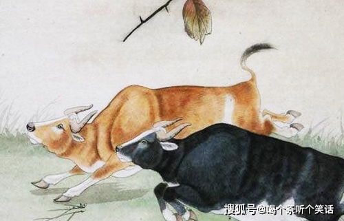 (二) 风水布局要点——避免水系摆设以防冲淡桃花气场