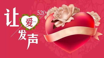 5月2号和5号日子选择哪个更好呢？有没有推荐的？