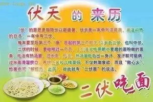 三伏：传统与现实的碰撞