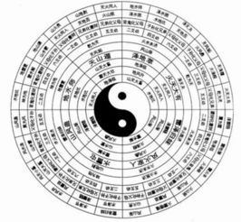 易经卦象的解析