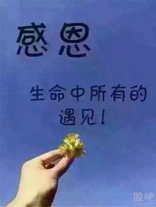 近现代化科学研究视角下的验证尝试
